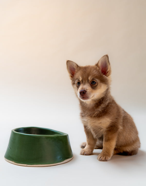 Brooklyn Large Dog Bowl