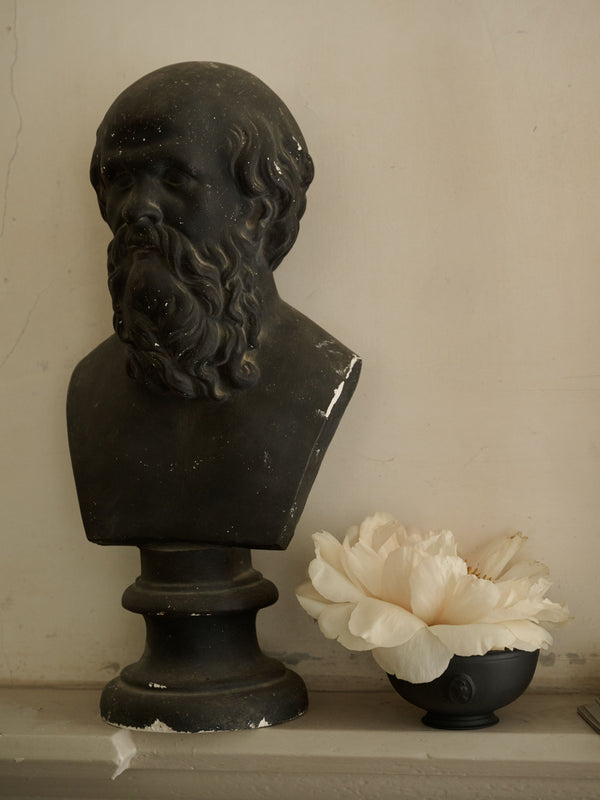 Black Stone Socrates Bust