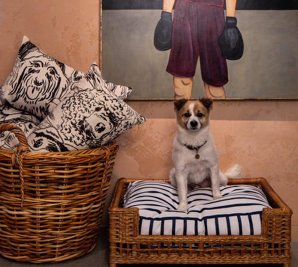 Vineyard Wicker Dog Bed with Indigo Stripe Cushion