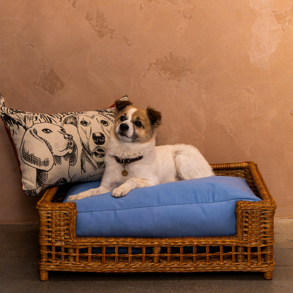 Vineyard Wicker Dog Bed with Blue Cushion
