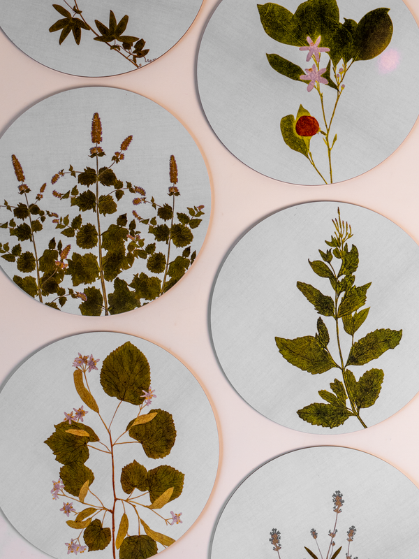 Herberium Tisane Cork Backed Placemat, Mixed Set of 6
