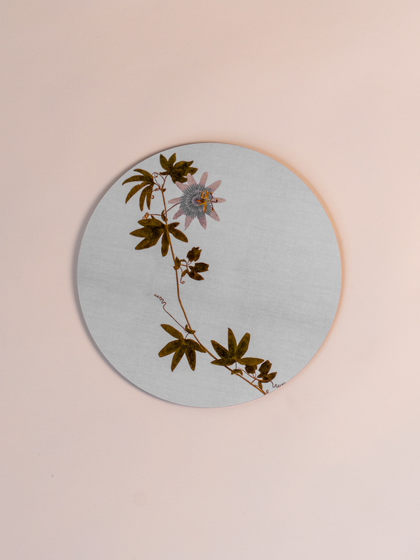 Herberium Tisane Cork Backed Placemat, Mixed Set of 6