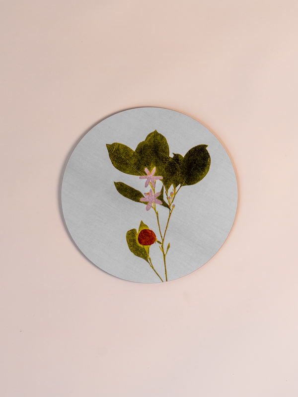 Herberium Tisane Cork Backed Placemat, Mixed Set of 6