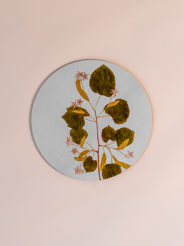 Herberium Tisane Cork Backed Placemat, Mixed Set of 6