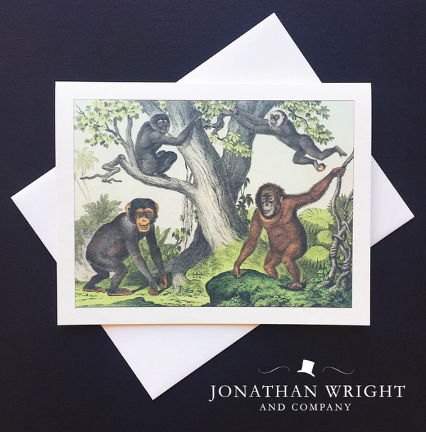 Jonathan Wright - Blank Cards