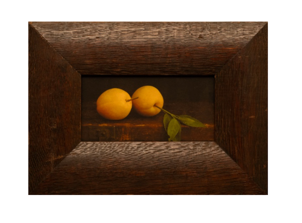 The Apricot Fields, Jefferson Hayman