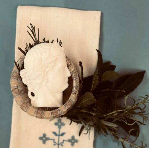 Julius Caesar Soap
