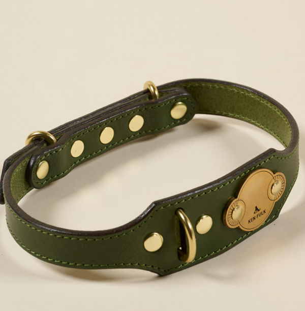 Dashing Dog Collar - Medium
