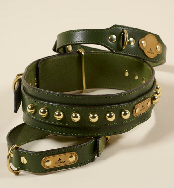 Dashing Dog Collar - Medium