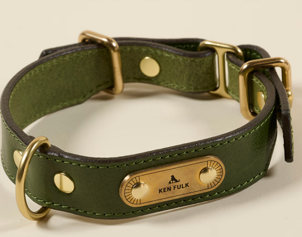 Gentleman Dog Collar  - Small