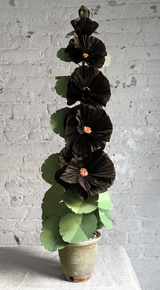 Black Potted Hollyhock
