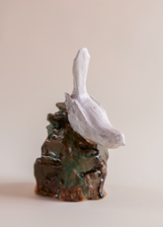 Bird on Glazed Rock