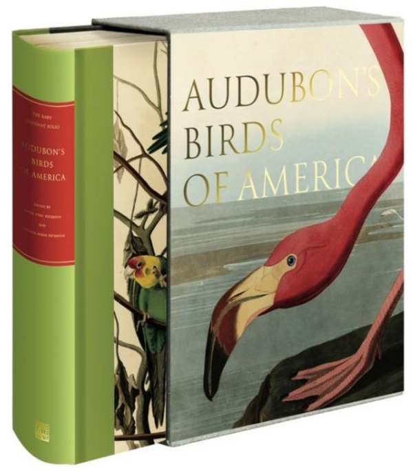 Audubon's Birds of America