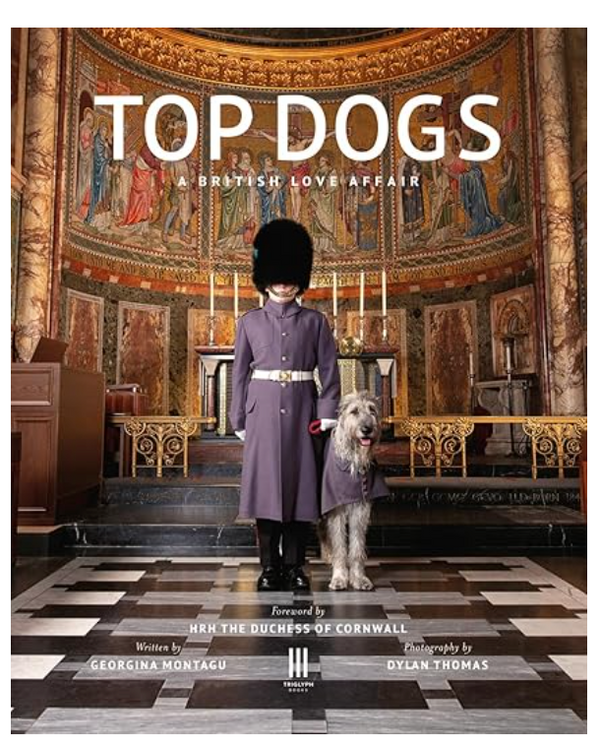 Top Dogs: A British Love Affair