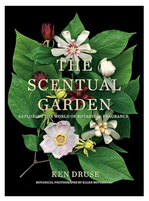 The Scentual Garden, Exploring the World of Botanical Fragrance