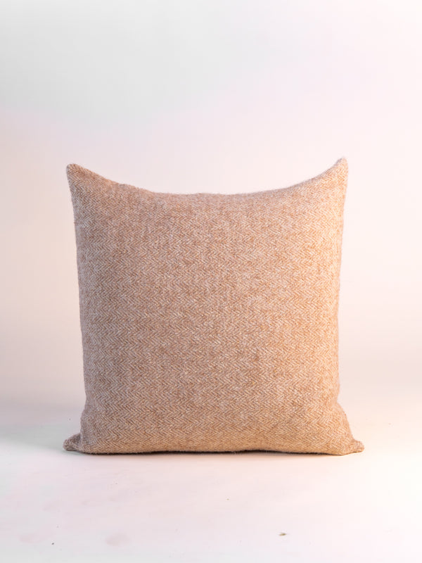 Parrish Pillow