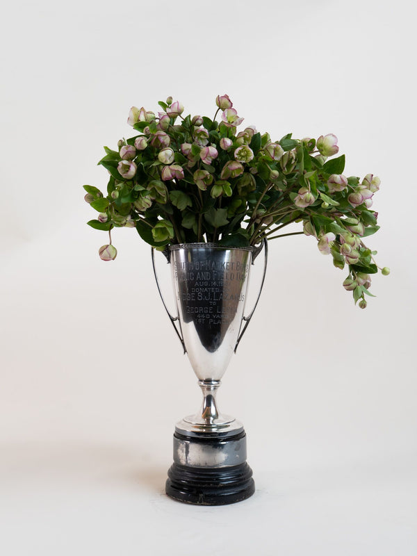 Engraved Silver Trophies