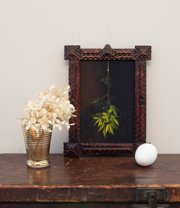 Cannabis Leaves, Jefferson Hayman
