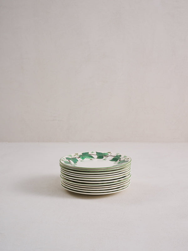 Wedgwood Napoleon Ivy Green (Queen's Ware)