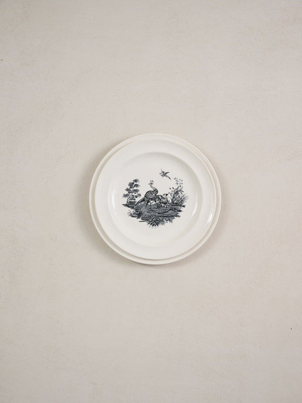 Wedgwood 'Liverpool Birds', Cream Ware  - set of 6