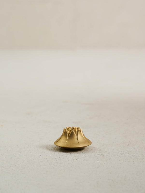 Agave Incense Holder