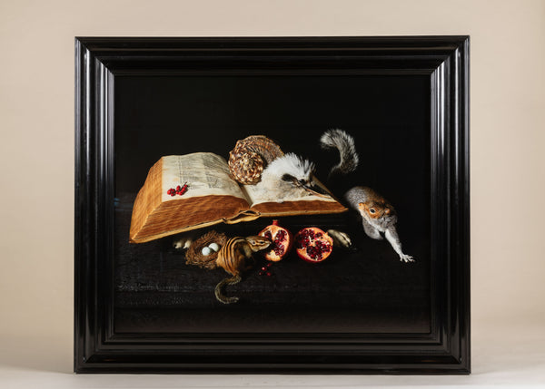 Être la Curiosité, photograph by Darwin, Sinke & van Tongeren