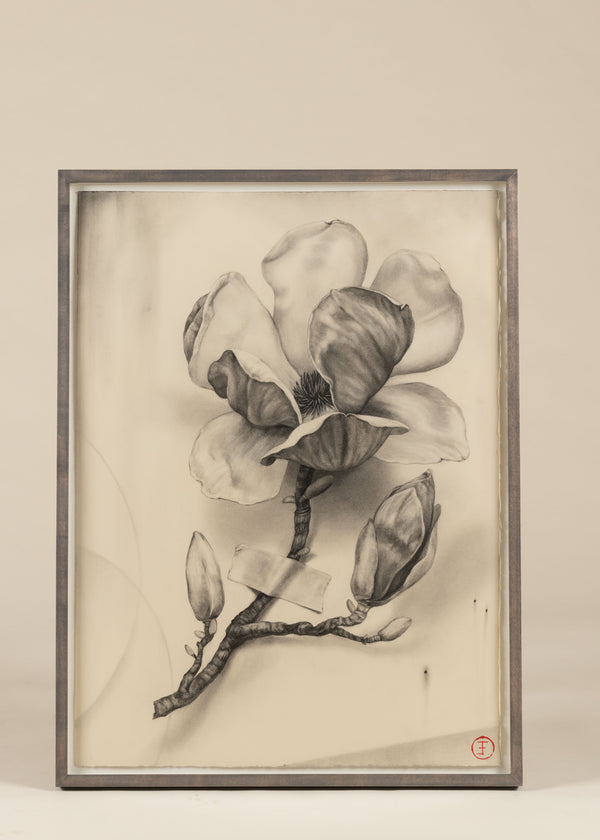 Chinese Magnolia with Three Buds, Emily Farish