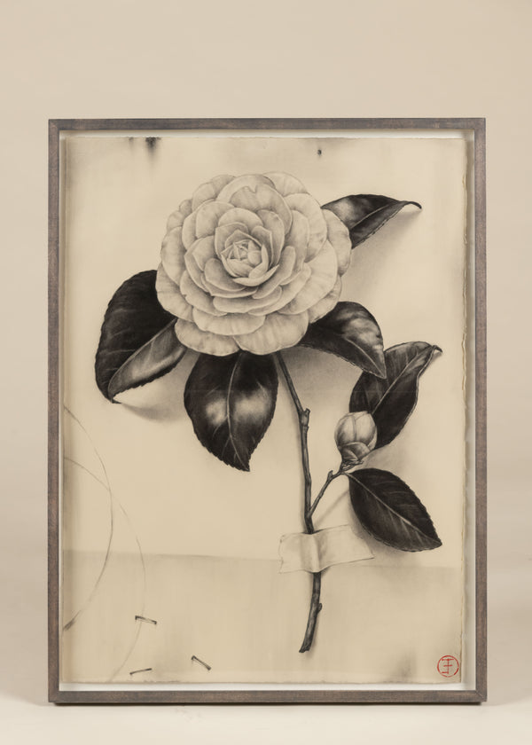 Camelia, Emily Farish