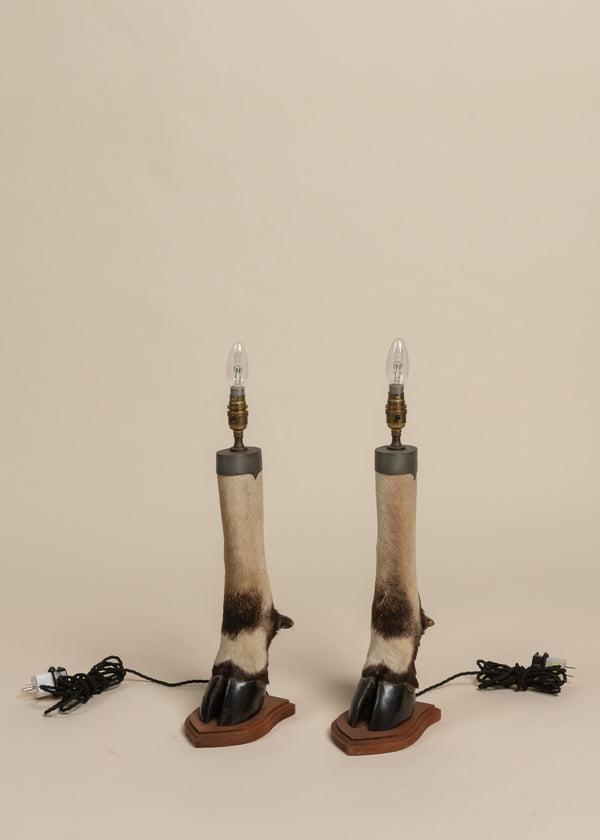 Vintage French Hoof Lamp