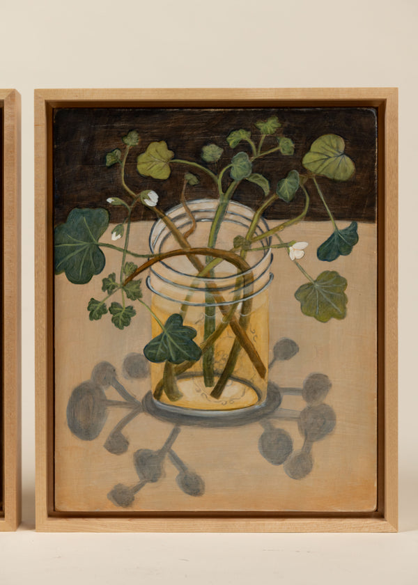 New Life 'Geranium Cuttings',Daphne Confar