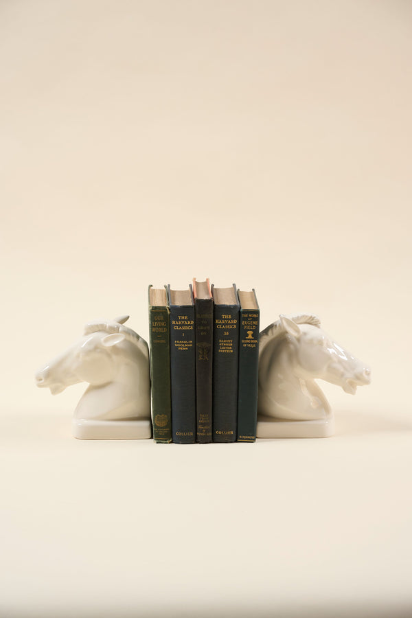 Ivory Horse Head Bookends