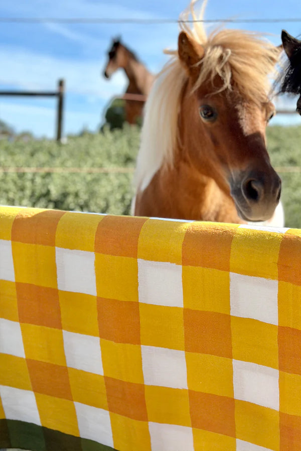Mustard Gingham Napkin, Set of 6