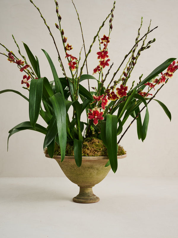 Venetian Fruit Bowl