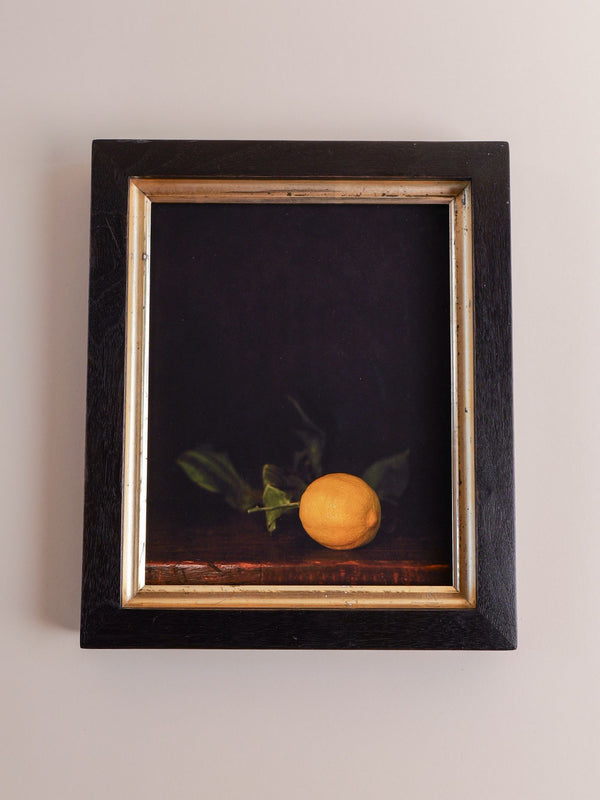 Winter Lemon, Jefferson Hayman