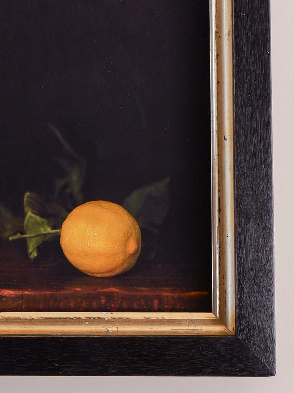 Winter Lemon, Jefferson Hayman
