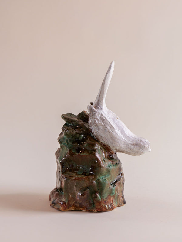 Bird on Glazed Rock