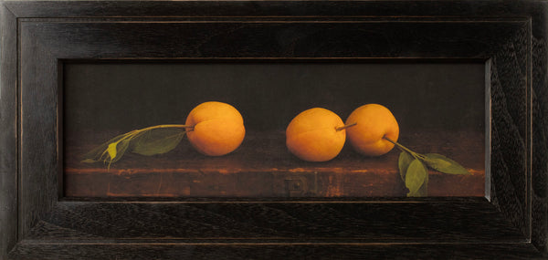 The Apricot Fields, 1/1, 2025