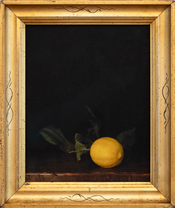 Winter Lemon, Jefferson Hayman